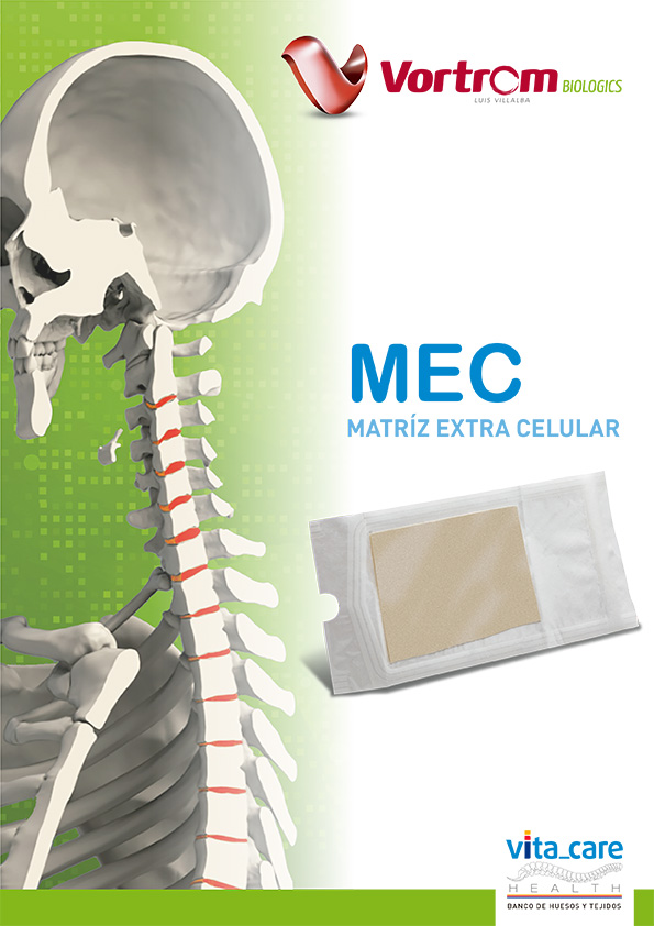 MEC